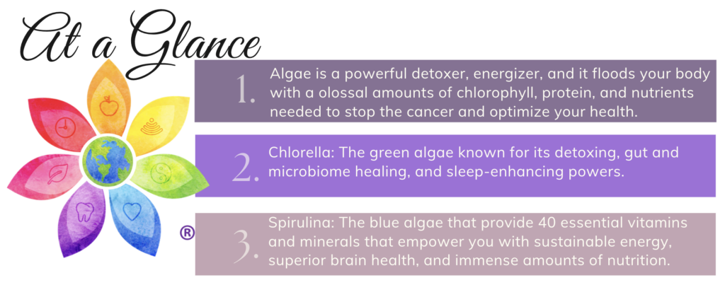 Chlorella and spirulina at a glance